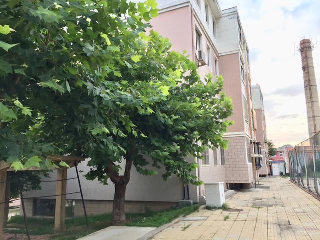 一天到晚没有话说的夫妻算怎么回事？