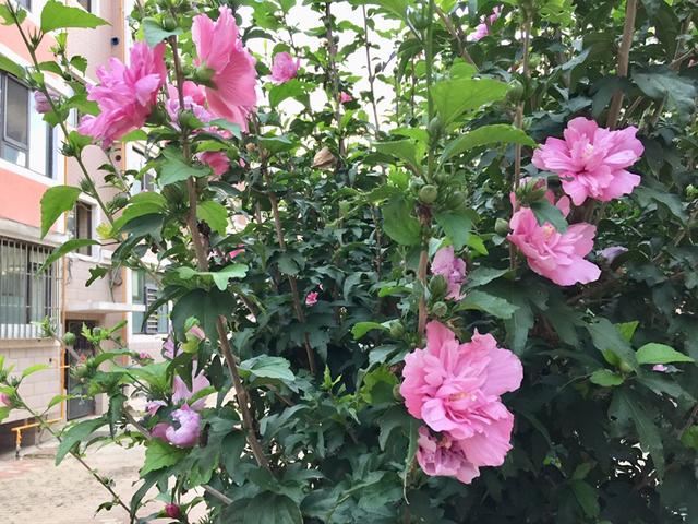 一天到晚没有话说的夫妻算怎么回事？