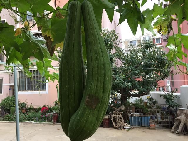 一天到晚没有话说的夫妻算怎么回事？