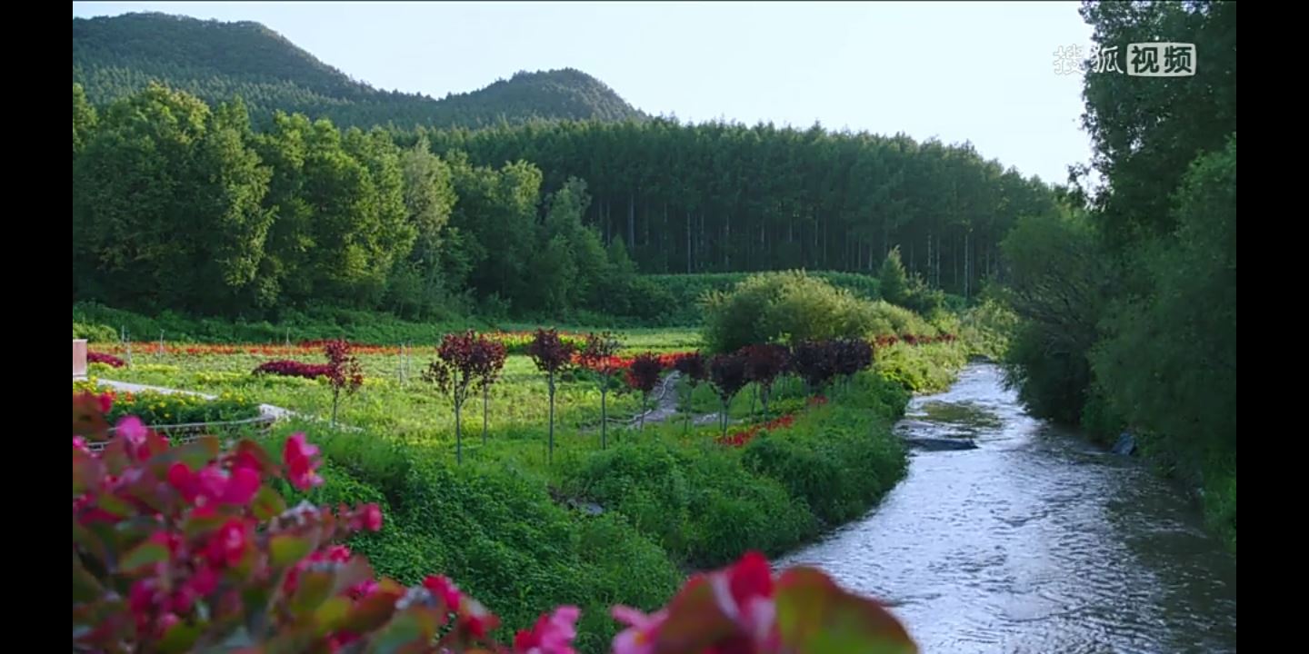 老婆和亲妹妹吵架怎么办?